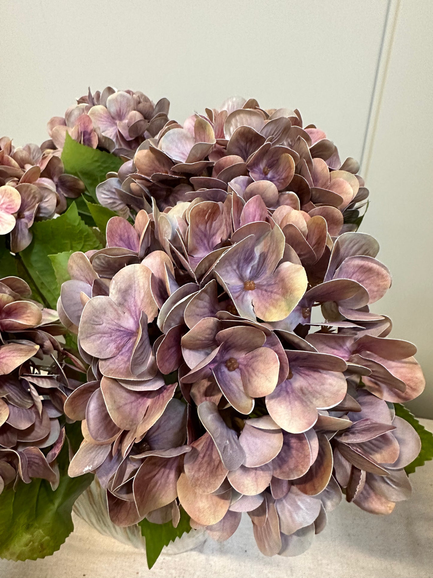 Hortensia stilk med