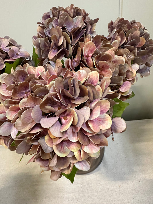 Hortensia stilk med