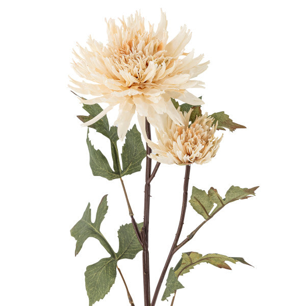 Chrysantemum Stilk, Natur, Kunstige Blomster